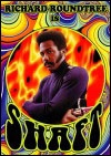 Shaft blaxploitation Poster 2551 Colour Richard Rowntree image